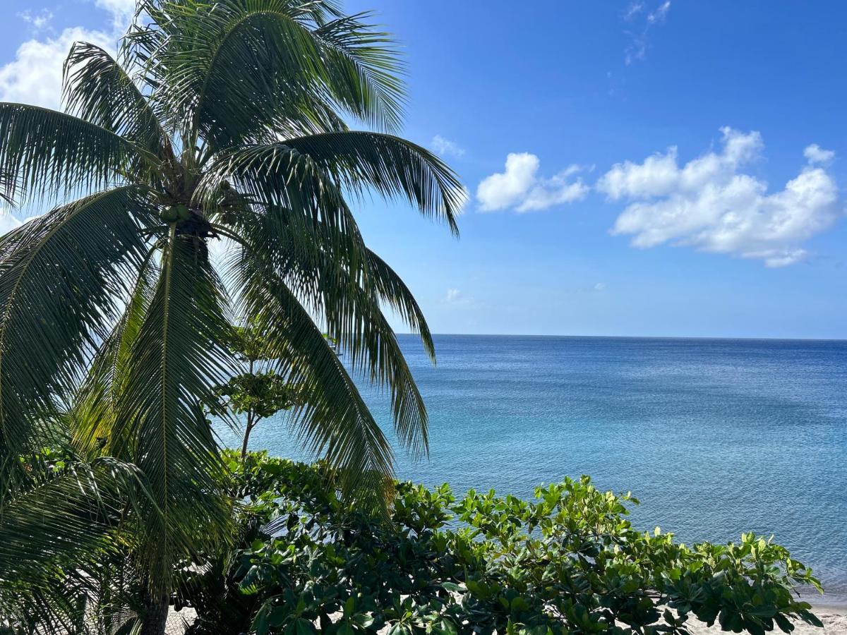 La Plage Martinique Schoelcher Dış mekan fotoğraf