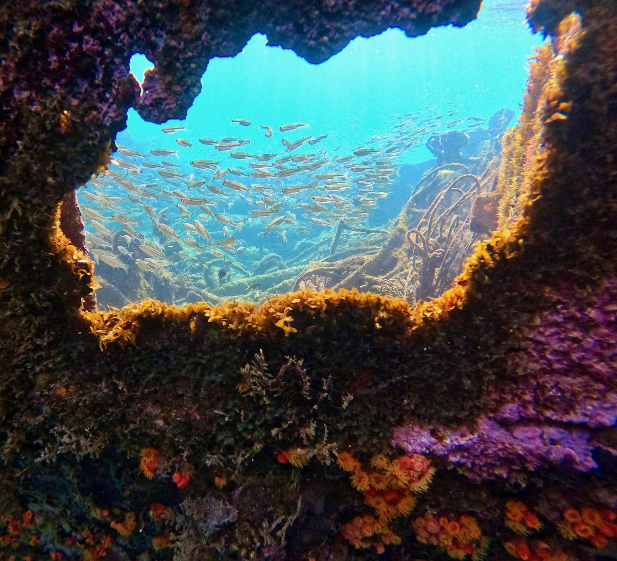 La Plage Martinique Schoelcher Dış mekan fotoğraf